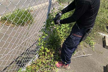 駐車場の草むしり